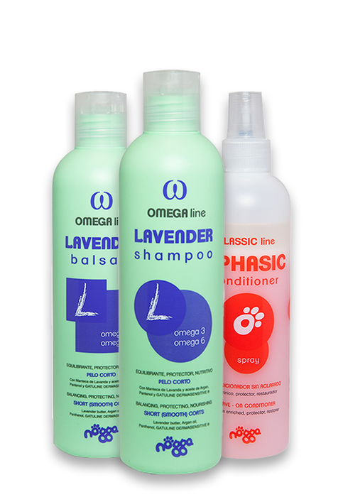 DermaSens Set - Short