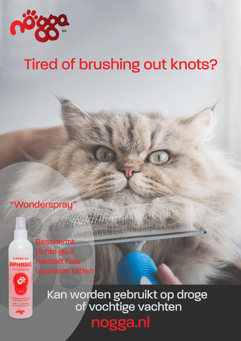 A1 Poster Cat - Biphasic