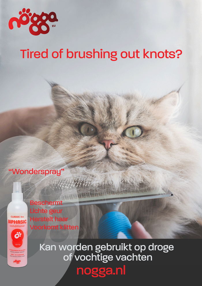 A1 Poster Cat - Biphasic