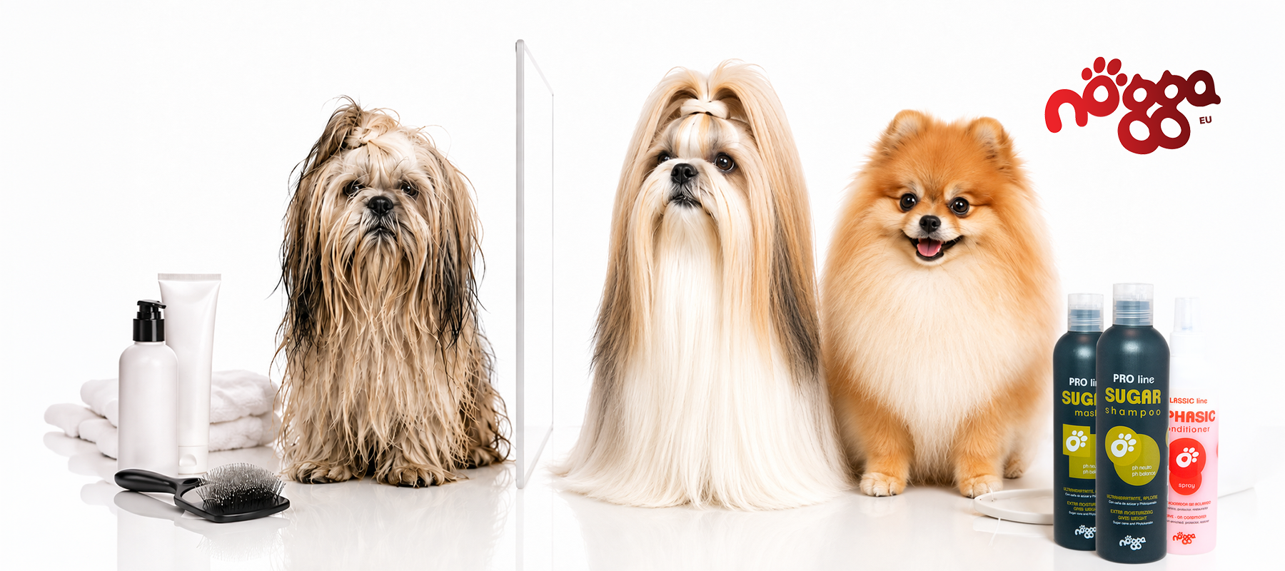 Waarom hydratatie belangrijk is voor de huid en vacht van je hond