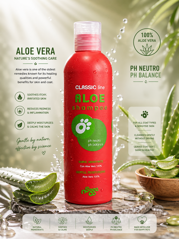 Aloe Shampoo