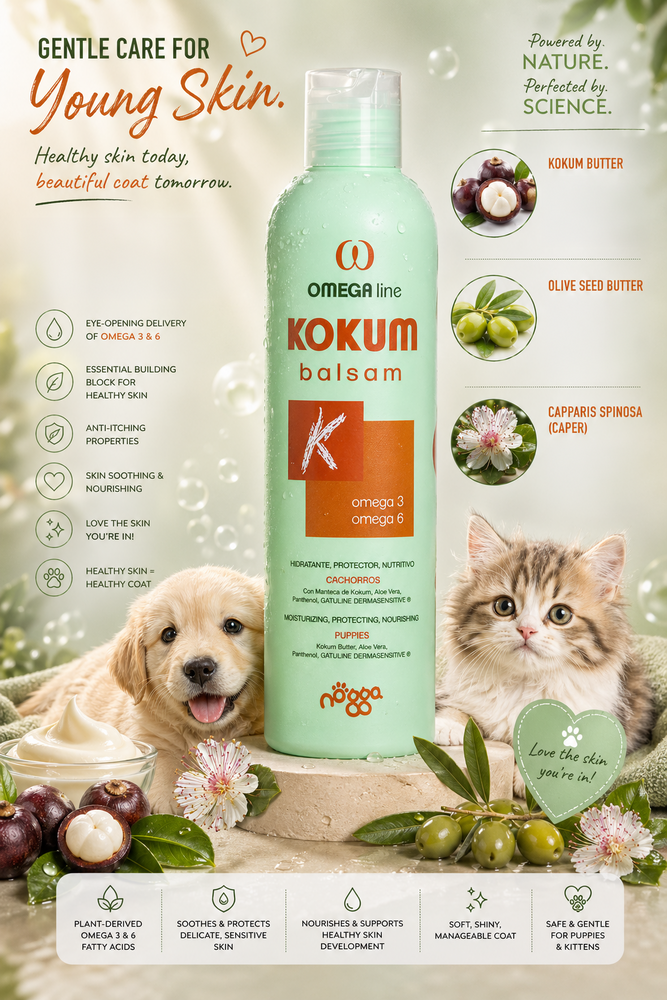 Omega Kokum balsam