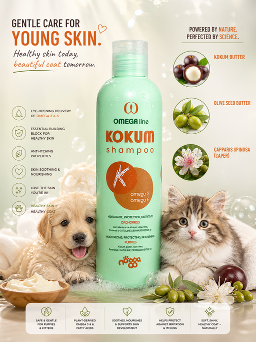 Omega Kokum shampoo