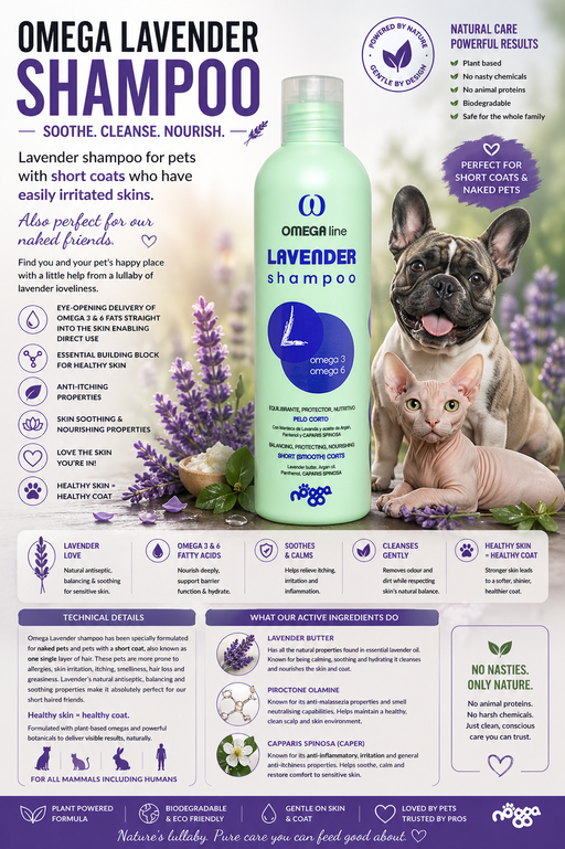 Omega Lavender shampoo