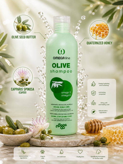 Omega Olive shampoo