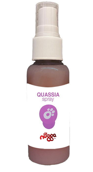 🎁 Quassia Spray2Go (100% off)