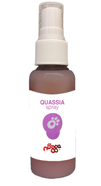 🎁 Quassia Spray2Go (100% off)