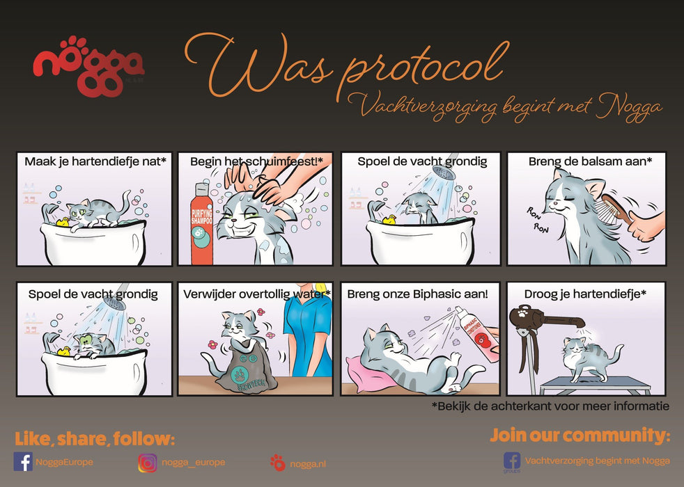 Washing protocol - cats