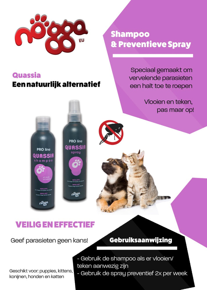 Quassia flyer