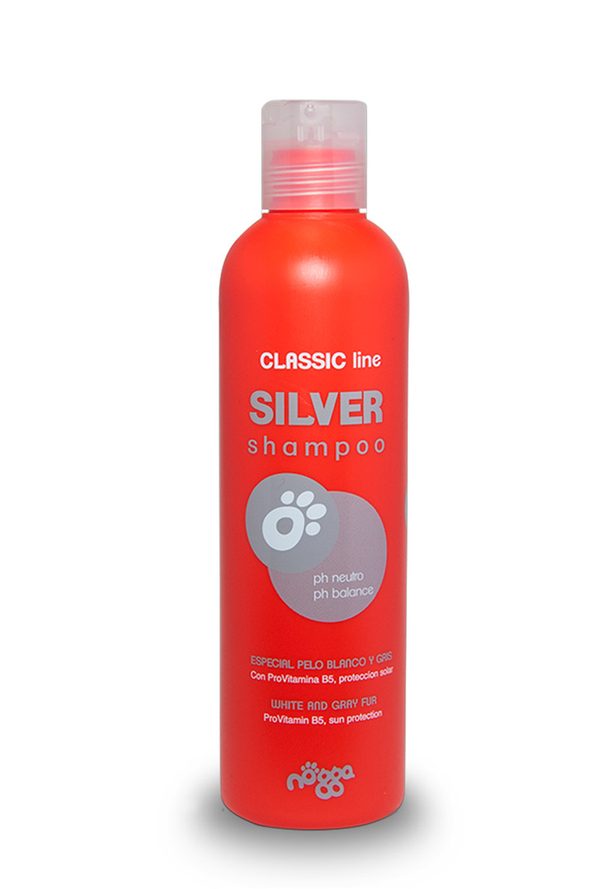 Silver Shampoo